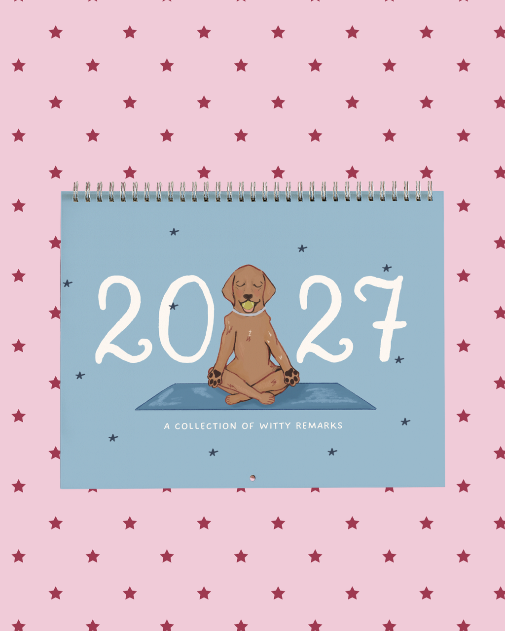 2027 Witty Remarks Calendar