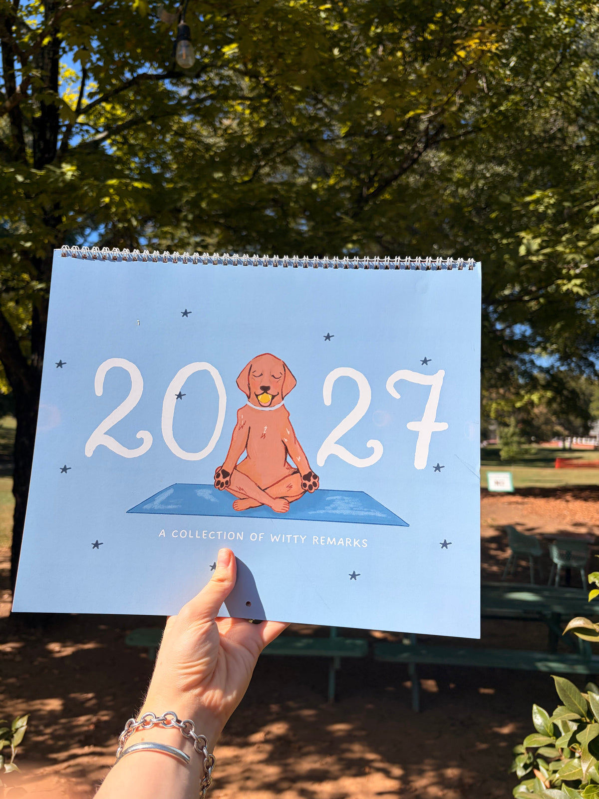 2027 Witty Remarks Calendar